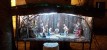 San Lussorio | Martire - presepe_san_lussorio_2015